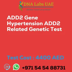 ADD2 Gene Hypertension ADD2 Related Genetic Test sale cost 4400 AED