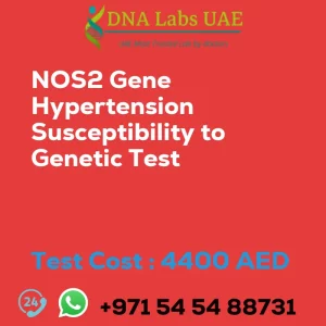 NOS2 Gene Hypertension Susceptibility to Genetic Test sale cost 4400 AED