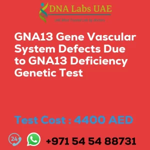 GNA13 Gene Vascular System Defects Due to GNA13 Deficiency Genetic Test sale cost 4400 AED