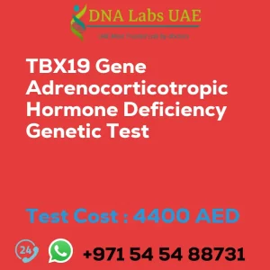 TBX19 Gene Adrenocorticotropic Hormone Deficiency Genetic Test sale cost 4400 AED