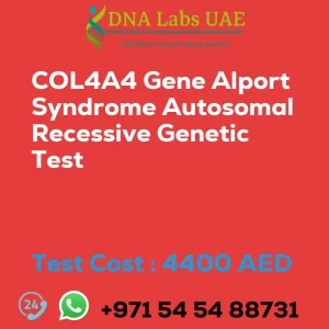 COL4A4 Gene Alport Syndrome Autosomal Recessive Genetic Test sale cost 4400 AED