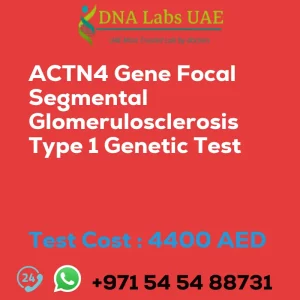 ACTN4 Gene Focal Segmental Glomerulosclerosis Type 1 Genetic Test sale cost 4400 AED
