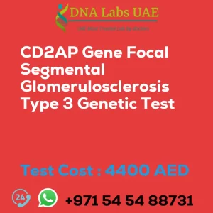 CD2AP Gene Focal Segmental Glomerulosclerosis Type 3 Genetic Test sale cost 4400 AED