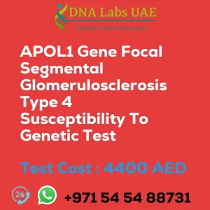 APOL1 Gene Focal Segmental Glomerulosclerosis Type 4 Susceptibility To Genetic Test sale cost 4400 AED