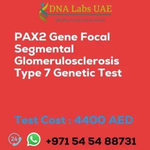 PAX2 Gene Focal Segmental Glomerulosclerosis Type 7 Genetic Test sale cost 4400 AED