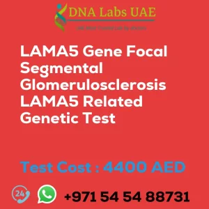 LAMA5 Gene Focal Segmental Glomerulosclerosis LAMA5 Related Genetic Test sale cost 4400 AED