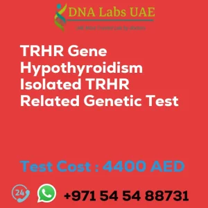 TRHR Gene Hypothyroidism Isolated TRHR Related Genetic Test sale cost 4400 AED