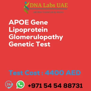 APOE Gene Lipoprotein Glomerulopathy Genetic Test sale cost 4400 AED