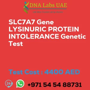 SLC7A7 Gene LYSINURIC PROTEIN INTOLERANCE Genetic Test sale cost 4400 AED