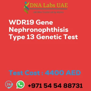 WDR19 Gene Nephronophthisis Type 13 Genetic Test sale cost 4400 AED