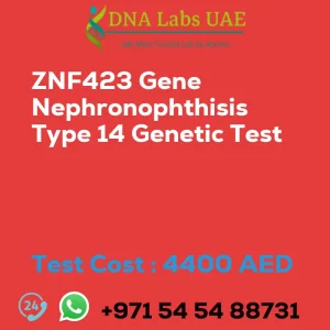 ZNF423 Gene Nephronophthisis Type 14 Genetic Test sale cost 4400 AED