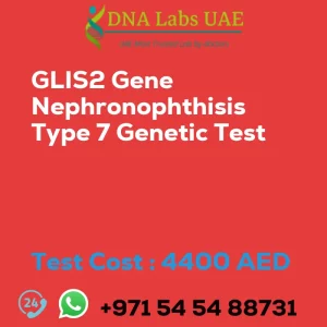 GLIS2 Gene Nephronophthisis Type 7 Genetic Test sale cost 4400 AED