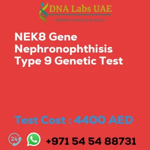 NEK8 Gene Nephronophthisis Type 9 Genetic Test sale cost 4400 AED