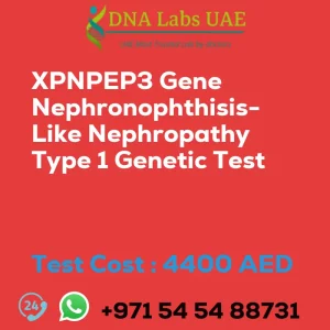 XPNPEP3 Gene Nephronophthisis-Like Nephropathy Type 1 Genetic Test sale cost 4400 AED