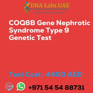 COQ8B Gene Nephrotic Syndrome Type 9 Genetic Test sale cost 4400 AED