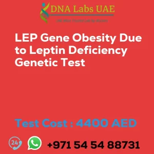 LEP Gene Obesity Due to Leptin Deficiency Genetic Test sale cost 4400 AED