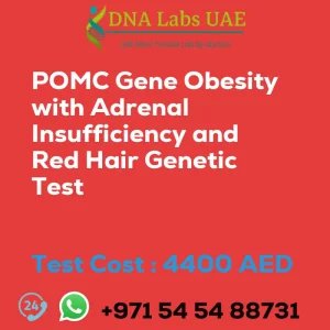 POMC Gene Obesity with Adrenal Insufficiency and Red Hair Genetic Test sale cost 4400 AED