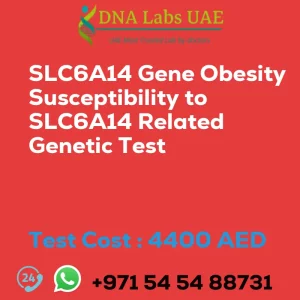 SLC6A14 Gene Obesity Susceptibility to SLC6A14 Related Genetic Test sale cost 4400 AED