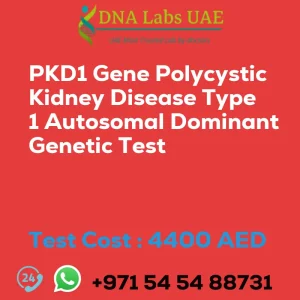 PKD1 Gene Polycystic Kidney Disease Type 1 Autosomal Dominant Genetic Test sale cost 4400 AED