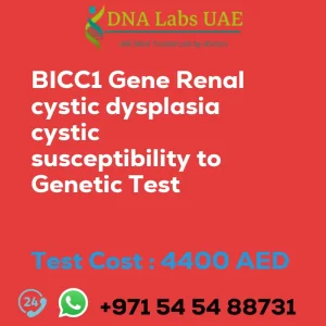 BICC1 Gene Renal cystic dysplasia cystic susceptibility to Genetic Test sale cost 4400 AED
