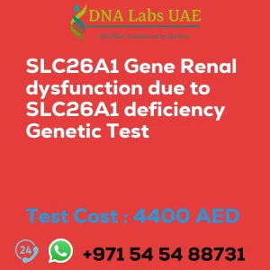 SLC26A1 Gene Renal dysfunction due to SLC26A1 deficiency Genetic Test sale cost 4400 AED