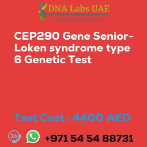 CEP290 Gene Senior-Loken syndrome type 6 Genetic Test sale cost 4400 AED