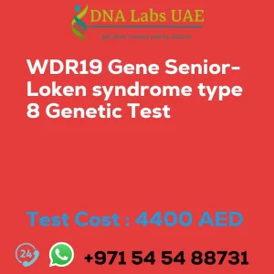 WDR19 Gene Senior-Loken syndrome type 8 Genetic Test sale cost 4400 AED