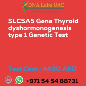 SLC5A5 Gene Thyroid dyshormonogenesis type 1 Genetic Test sale cost 4400 AED