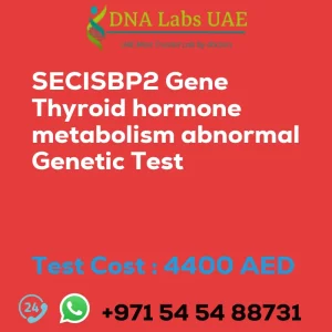 SECISBP2 Gene Thyroid hormone metabolism abnormal Genetic Test sale cost 4400 AED