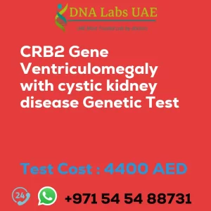 CRB2 Gene Ventriculomegaly with cystic kidney disease Genetic Test sale cost 4400 AED