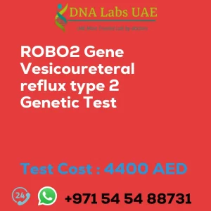 ROBO2 Gene Vesicoureteral reflux type 2 Genetic Test sale cost 4400 AED