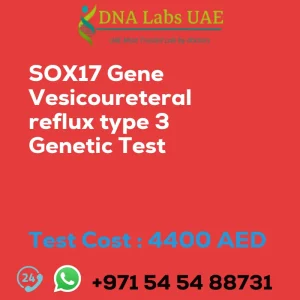 SOX17 Gene Vesicoureteral reflux type 3 Genetic Test sale cost 4400 AED