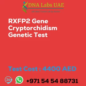 RXFP2 Gene Cryptorchidism Genetic Test sale cost 4400 AED