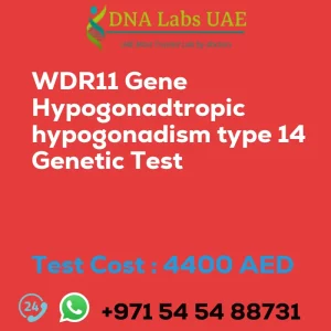 WDR11 Gene Hypogonadtropic hypogonadism type 14 Genetic Test sale cost 4400 AED