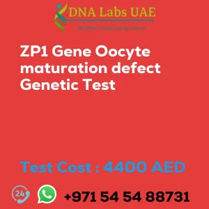 ZP1 Gene Oocyte maturation defect Genetic Test sale cost 4400 AED