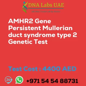 AMHR2 Gene Persistent Mullerian duct syndrome type 2 Genetic Test sale cost 4400 AED