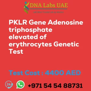 PKLR Gene Adenosine triphosphate elevated of erythrocytes Genetic Test sale cost 4400 AED