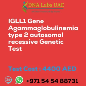 IGLL1 Gene Agammaglobulinemia type 2 autosomal recessive Genetic Test sale cost 4400 AED