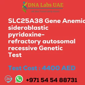 SLC25A38 Gene Anemia sideroblastic pyridoxine-refractory autosomal recessive Genetic Test sale cost 4400 AED