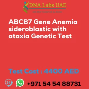 ABCB7 Gene Anemia sideroblastic with ataxia Genetic Test sale cost 4400 AED