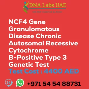 NCF4 Gene Granulomatous Disease Chronic Autosomal Recessive Cytochrome B-Positive Type 3 Genetic Test sale cost 4400 AED