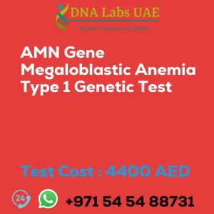 AMN Gene Megaloblastic Anemia Type 1 Genetic Test sale cost 4400 AED