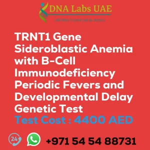 TRNT1 Gene Sideroblastic Anemia with B-Cell Immunodeficiency Periodic Fevers and Developmental Delay Genetic Test sale cost 4400 AED