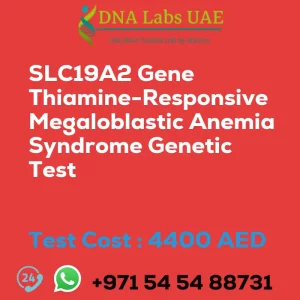 SLC19A2 Gene Thiamine-Responsive Megaloblastic Anemia Syndrome Genetic Test sale cost 4400 AED