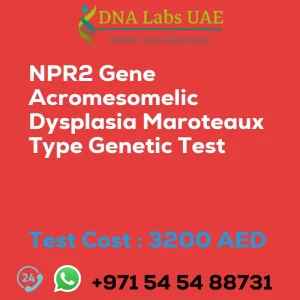 NPR2 Gene Acromesomelic Dysplasia Maroteaux Type Genetic Test sale cost 3200 AED