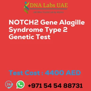 NOTCH2 Gene Alagille Syndrome Type 2 Genetic Test sale cost 4400 AED