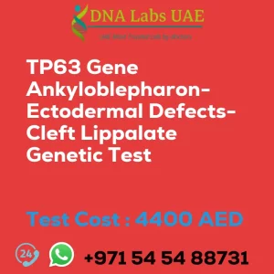 TP63 Gene Ankyloblepharon-Ectodermal Defects-Cleft Lippalate Genetic Test sale cost 4400 AED