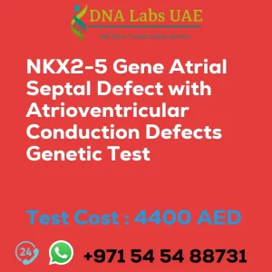 NKX2-5 Gene Atrial Septal Defect with Atrioventricular Conduction Defects Genetic Test sale cost 4400 AED