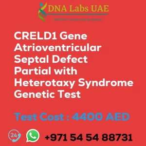 CRELD1 Gene Atrioventricular Septal Defect Partial with Heterotaxy Syndrome Genetic Test sale cost 4400 AED