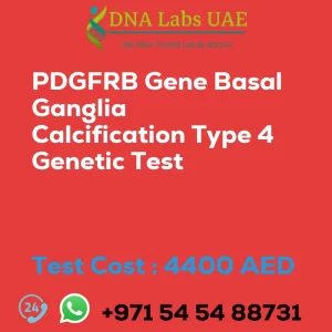 PDGFRB Gene Basal Ganglia Calcification Type 4 Genetic Test sale cost 4400 AED